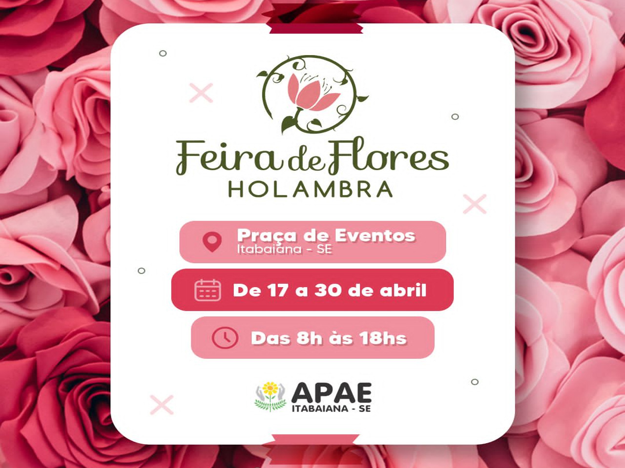 A Feira de Flores de Holambra